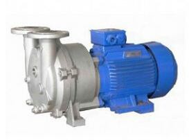 2BV water ring vacuum pump